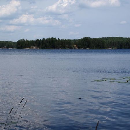 Kuoreksenniemi Villas & Lakehouse Puumala Buitenkant foto