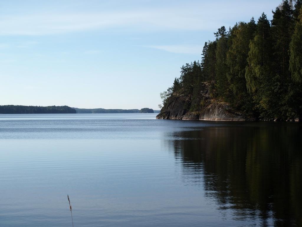 Kuoreksenniemi Villas & Lakehouse Puumala Buitenkant foto